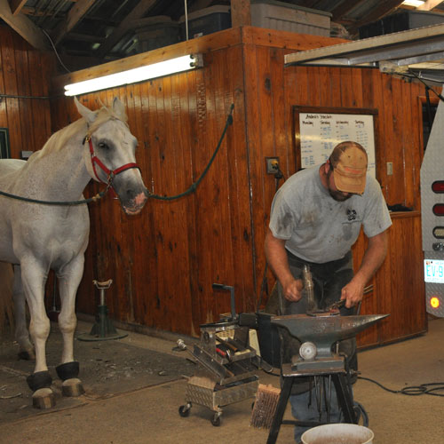 Caption for horseshoes 