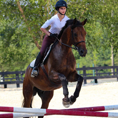 Rider Dorothy Smith riding Dover 